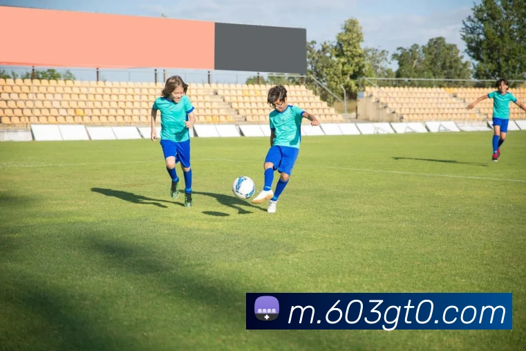 体育直播服务